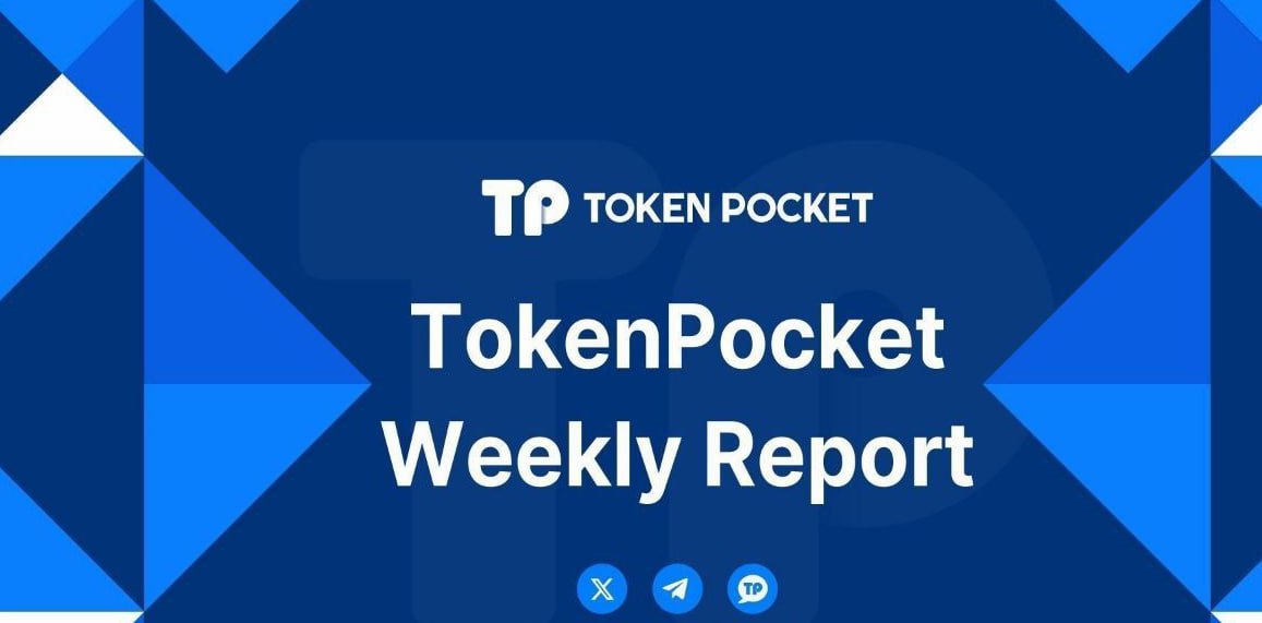 tp官方正版下载 TP最新版下载：用户配置与界面设置全攻略
